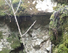 WhatsApp Image 2020-10-24 at 22.27.36