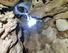 WhatsApp Image 2020-12-16 at 00.03.04 (1)