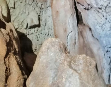 WhatsApp Image 2020-12-16 at 00.03.04 (2)