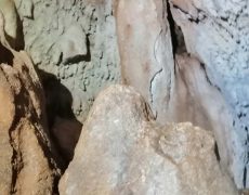 WhatsApp Image 2020-12-16 at 00.03.04 (2)