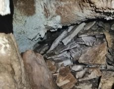 WhatsApp Image 2020-12-16 at 00.03.04 (3)