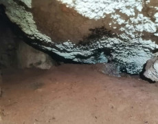 WhatsApp Image 2020-12-16 at 00.03.04