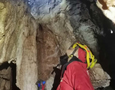 WhatsApp Image 2020-12-16 at 00.03.05