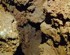 WhatsApp Image 2020-12-16 at 00.04.28