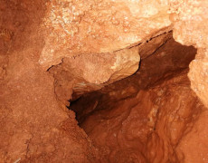 WhatsApp Image 2020-12-16 at 00.04.29 (1)