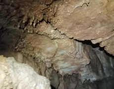 WhatsApp Image 2020-12-16 at 00.04.29 (5)