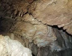 WhatsApp Image 2020-12-16 at 00.04.29 (5)