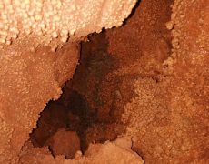 WhatsApp Image 2020-12-16 at 00.04.29