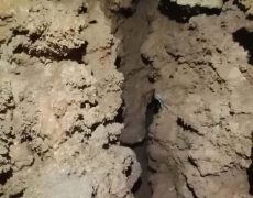 WhatsApp Image 2020-12-16 at 00.04.30