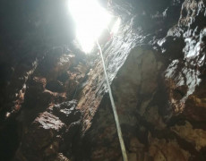 WhatsApp Image 2020-12-16 at 00.04.31 (1)