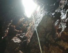 WhatsApp Image 2020-12-16 at 00.04.31 (1)