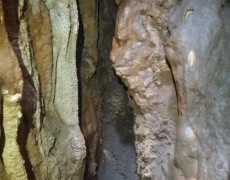 WhatsApp Image 2020-12-16 at 00.04.31