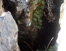 WhatsApp Image 2021-03-17 at 20.11.06