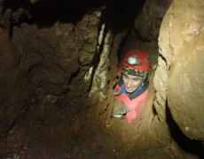 WhatsApp Image 2021-03-17 at 20.11.07 (1)