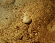 WhatsApp-Image-2021-03-17-at-20.11.08-2