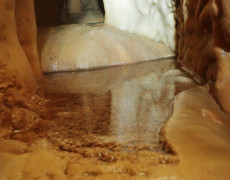 WhatsApp Image 2021-03-17 at 20.11.08