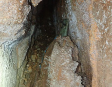 WhatsApp Image 2021-03-17 at 20.11.09 (1)