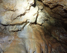 WhatsApp Image 2021-03-17 at 20.11.09