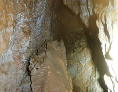 WhatsApp Image 2021-03-17 at 20.11.10