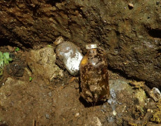 WhatsApp Image 2021-03-17 at 20.11.54