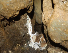 WhatsApp Image 2021-03-17 at 20.11.55