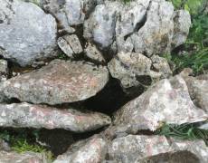 WhatsApp-Image-2021-04-10-at-18.49.12