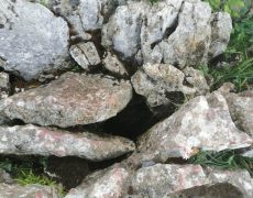 WhatsApp-Image-2021-04-10-at-18.49.12