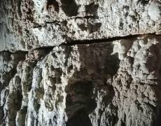 WhatsApp-Image-2021-04-10-at-18.49.13-1