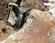 WhatsApp-Image-2021-04-10-at-18.49.13-2