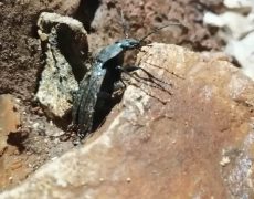 WhatsApp-Image-2021-04-10-at-18.49.13-2