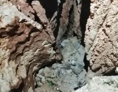 WhatsApp-Image-2021-04-10-at-18.49.14