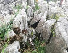 WhatsApp-Image-2021-04-10-at-18.49.15-1