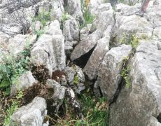 WhatsApp-Image-2021-04-10-at-18.49.15-1