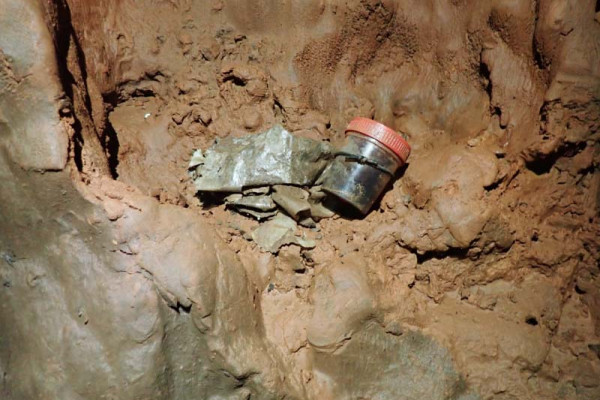 Figura 2 - Armadilhas