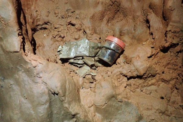 Figura 2 - Armadilhas