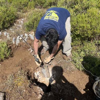 Figura 20 - Luis Meira a operar mata-vacas.