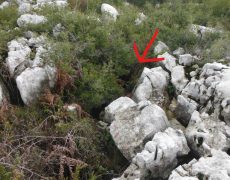 Figura 4 - Entrada do Algar do Bruno (Foto: José Ribeiro - GEM)